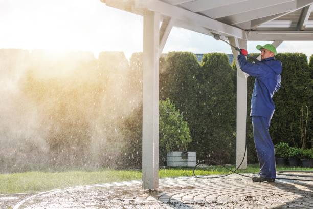 Best Soft Washing  in Dunnellon, FL