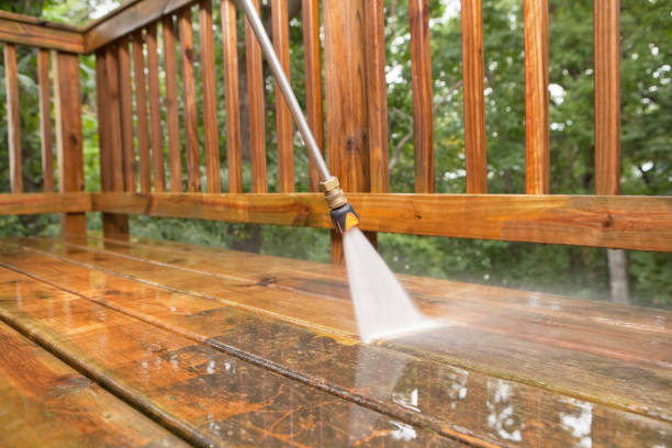 Best Roof Washing  in Dunnellon, FL